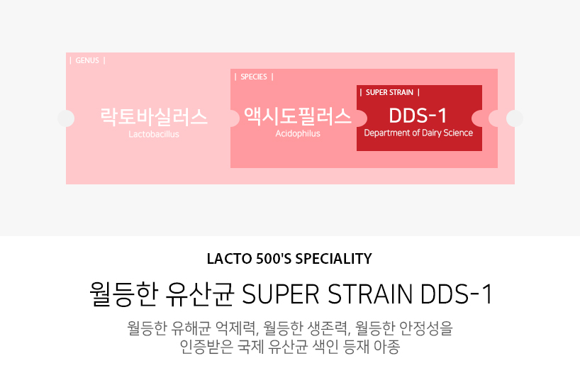 월등한 유산균 Super Strain DDS-1