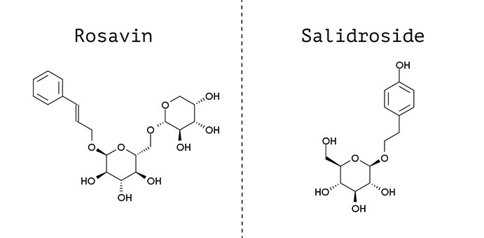 rosavin-salidroside_111426.jpg