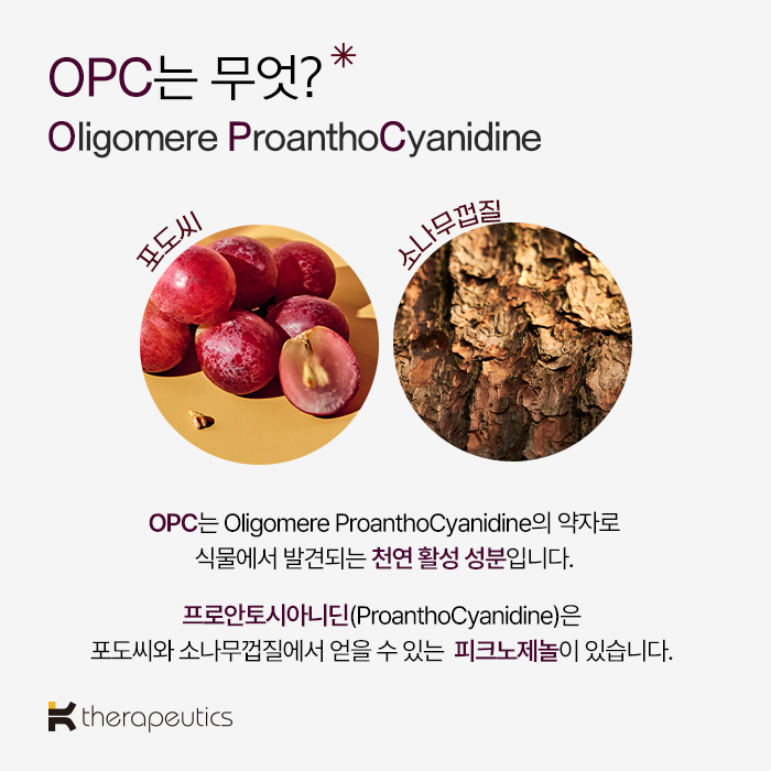케이세라퓨틱스 소나무껍질 포도씨 추출물 OPC5 프리미엄 항산화 영양제 피크노제놀 효능