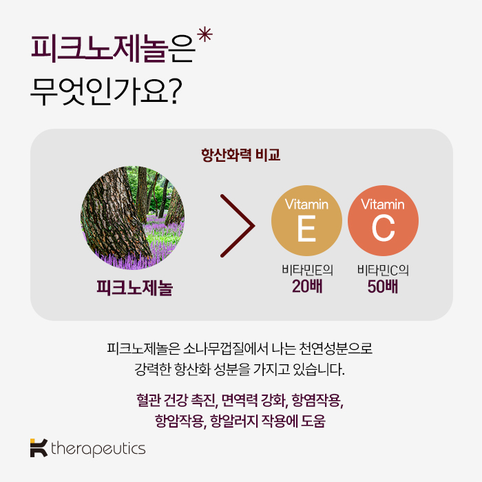 케이세라퓨틱스 소나무껍질 포도씨 추출물 OPC5 프리미엄 항산화 영양제 피크노제놀 효능