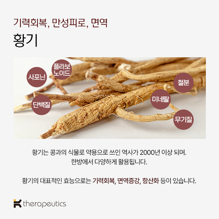 케이세라퓨틱스 락토500 황기효능 장성팔진 홍삼